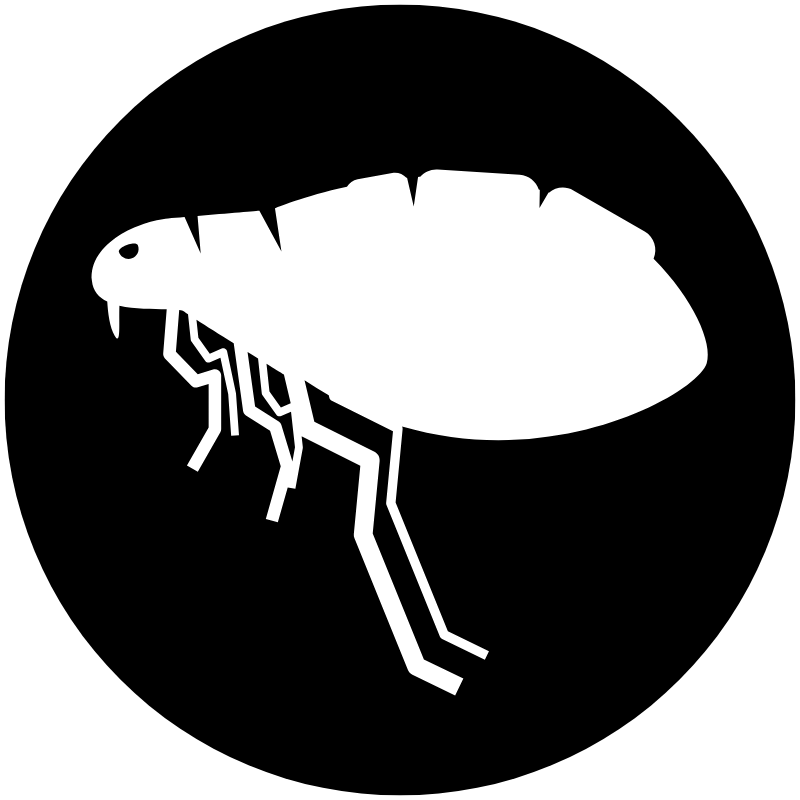 Flea-icon-black Flea-icon-black