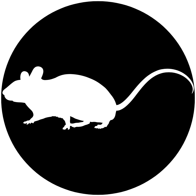 Rodent-icon-black Rodent-icon-black
